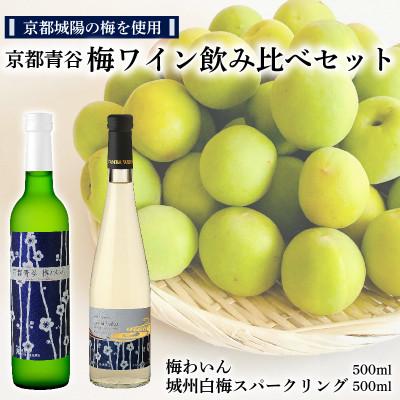 ふるさと納税 城陽市 京都青谷梅わいん飲み比べセット