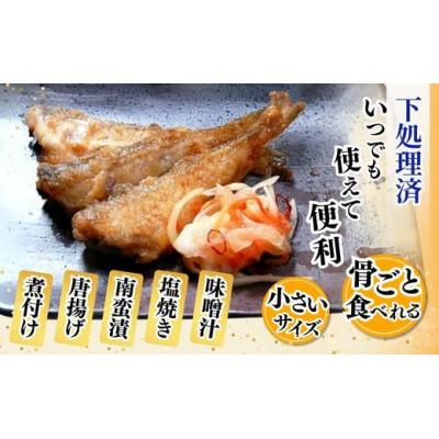 ふるさと納税 香美町 小さいサイズのハタハタ 計1.2kg(300g×4パック)下処理済み(冷凍) |  | 01