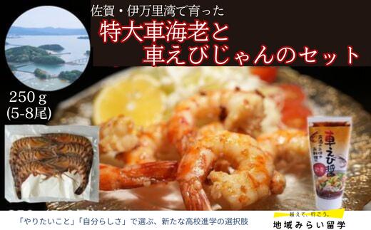 
            【セット】特大車海老と車えびじゃんのセット
          
