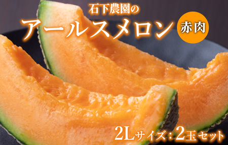アールスメロン 赤肉 LLサイズ 2玉