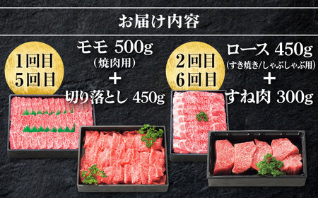 【全8回定期便】 特選 壱岐牛 プラスワン（＋1） 定期便 《壱岐市》【太陽商事】 ステーキ サーロイン モモ 焼肉 すき焼き しゃぶしゃぶ [JDL097] 300000 300000円 30万円 