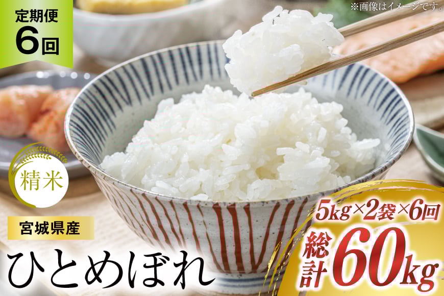 
            6回 定期便 米 宮城県産 ひとめぼれ 10kg (5kg ×2袋) ×6回 総計 60kg [菊武商店 宮城県 気仙沼市 20565602] お米 こめ コメ 白米 精米 ブランド米 ご飯 ごはん
          