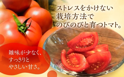 おいしい水と空気で育った大玉トマト