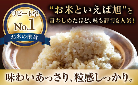 【先行予約】令和8年産 新米 滋賀旭 10kg 玄米 [AQCP041]