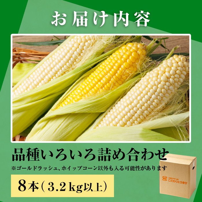 ＜期間限定＞天塩川源流スイートコーン 品種いろいろ詰め合わせ (8本) 【2026年8月下旬より順次発送】 北海道産 北海道 士別市 とうもろこし トウモロコシ とうきび コーン 野菜 産地直送 【三