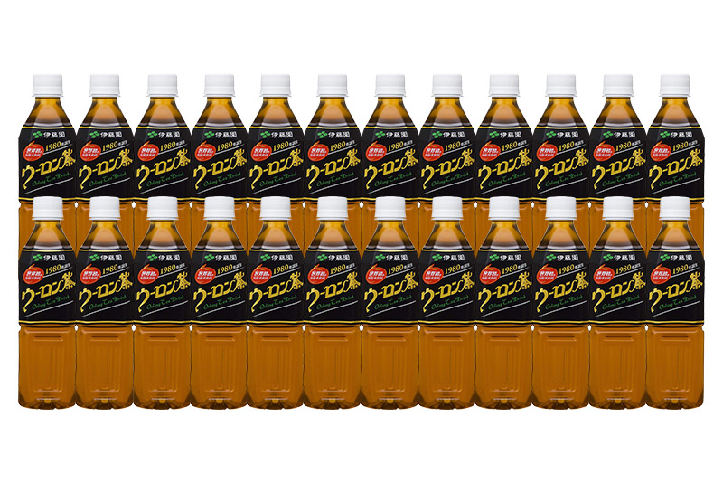 ★xx★《定期便6ヶ月》ウーロン茶 PET 500ml×24本【1ケース】
