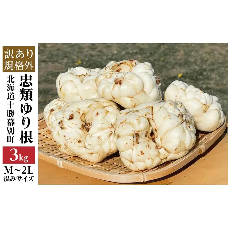 規格外 ゆり根 3kg（18~30玉 ） M～2L ゆり根