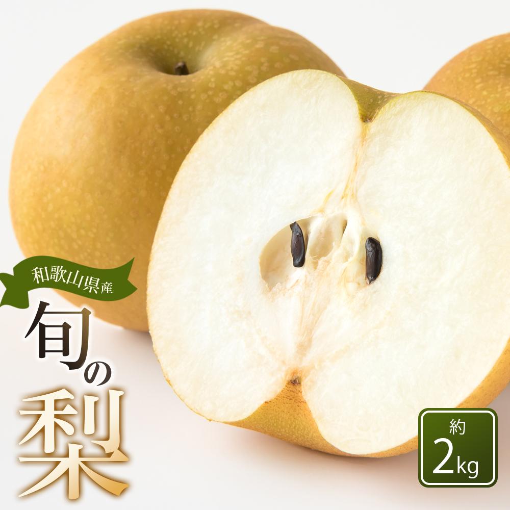 【ふるさと納税】和歌山県産 旬の梨 約2kg［2025年8月中旬以降順次発送］［MG17］ | フルーツ 果物 くだもの 食品 人気 おすすめ 送料無料