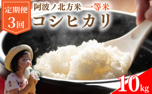 【 定期便 10kg × 3回 】 コシヒカリ 令和6年産 阿波ノ北方米 毎月 1回 1等 米 こめ ご飯 ごはん おにぎり 白米 精米 新米 卵かけご飯 食品 備蓄 備蓄米 保存 防災 ギフト 贈答 プレゼント お取り寄せ グルメ 送料無料 徳島県 阿波市 阿波ノ北方農園