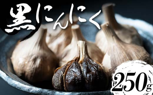 【青森県産】 熟成黒にんにく 250g ≪修清≫ 青森にんにく にんにく ニンニク ガーリック 黒ニンニク 日本一 産地 青森 中泊町 F6N-120