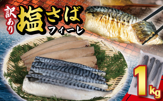 訳あり 塩サバフィーレ 約1kg ノルウェー産 冷凍 ｻﾊﾞ 鯖 塩サバ 塩鯖 海鮮 魚 大容量 規格外 不揃い 青魚 おかず 惣菜 魚介 おつまみ 弁当 人気 冷凍食品 グルメ 贈答 贈物 ギフト 長期保存 小分け お取り寄せ BBQ ふるさと納税 ふるさと納税サバ 送料無料 千葉県 銚子市 大一奈村魚問屋