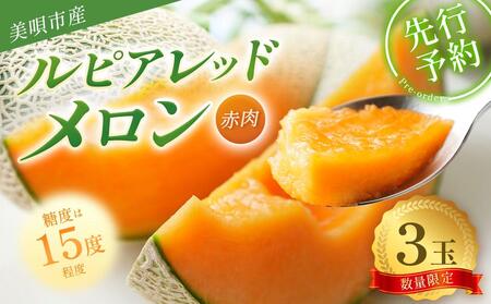 【2026年発送】【先行予約】【数量限定】美唄市産ルピアレッドメロン３玉（赤肉） ｜ メロン