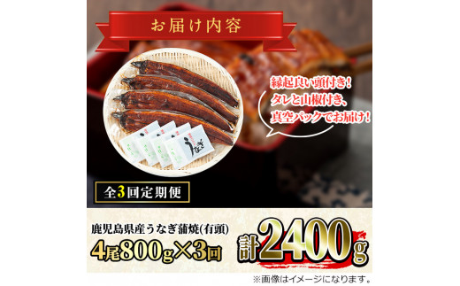 
【090902b】＜定期便・全3回＞大隅産うなぎの蒲焼 (計2400g・(200g×4尾)×3回・有頭)うなぎ 高級 ウナギ 鰻 国産 蒲焼 蒲焼き たれ 鹿児島【永峯うなぎ店】
