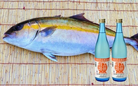 【ふるさと納税】＜【年4回】鮮魚・日本酒（幻の酒）定期便＞高知県 佐川町 勘八　かんぱち　タイ　鯛　ブリ　鰤　かつおのたたき　純米酒　薄濁り酒　地域限定品【冷蔵冷凍】