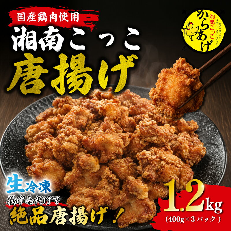 【ふるさと納税】 唐揚げ 1.2kg ( 400g × 3パック ) 【かながわグルメフェスタ グランプリ】 鶏肉 からあげ karaage 生肉 生 冷凍 冷凍からあげ 冷凍唐揚げ 冷凍惣菜 揚げるだけ 鶏 鳥肉 味付け肉 もも肉 揚げ物 惣菜 10,000円 1万円 送料無料 鳥仲商店 神奈川県 平塚市