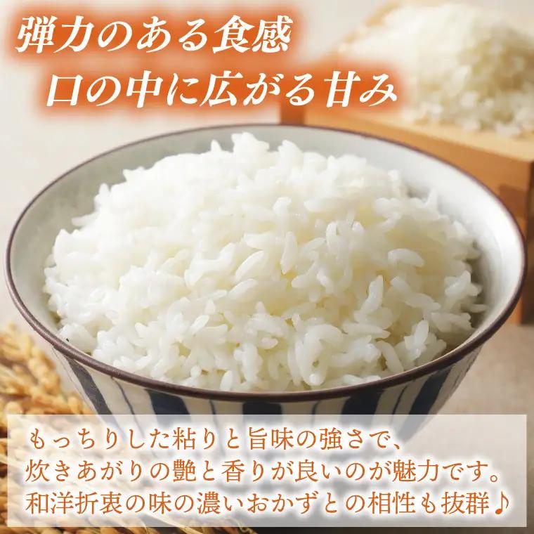＼先行予約／【全6回定期便】＜毎月＞山﨑観光農園のお米　コシヒカリ　白米5kg(AU050)