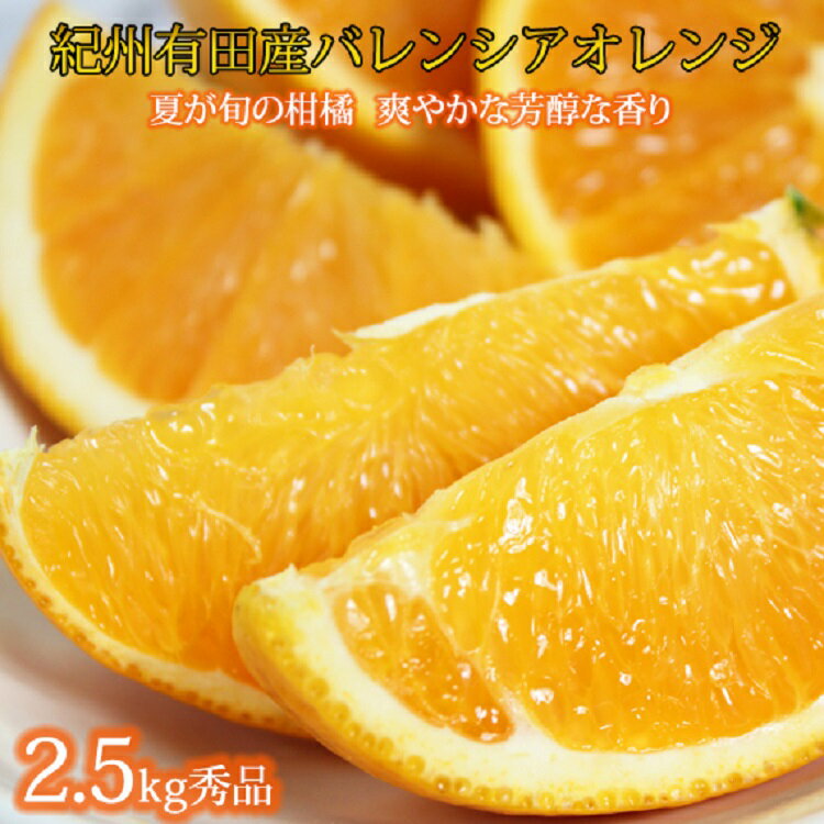 【ふるさと納税】 秀品　希少な国産バレンシアオレンジ　2.5kg　※2025年6月下旬頃～7月上旬ごろ順次発送予定（お届け日指定不可）
