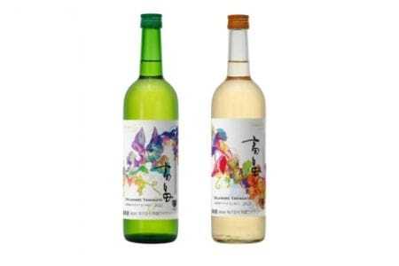 白 ワイン 高畠ワイナリー 辛口 甘口 ワイン 720ml 2本 [小田部商店 山形県 高畠町 tk06ayt180156] 白ワイン 飲み比べ デラウェア お酒 酒
