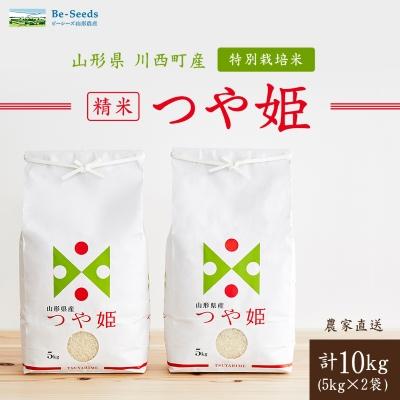 ふるさと納税 川西町 《先行受付》令和7年産　山形県産　つや姫　10kg(5kg×2袋)