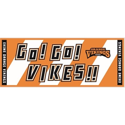 応援の必需品　バイクス応援セット(タオル・メガホン・ペンライト)【C058】【1108639】