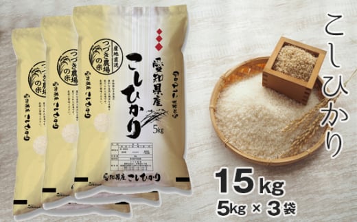 【白米】 令和7年産 つづき農場のコシヒカリ 15kg ／ コシヒカリ 白米 令和7年産 おいしい ごはん 炊き立て 甘み ふっくら 産直米 お取り寄せ 主食 米 食卓 お弁当 送料無料 愛知県 No.134