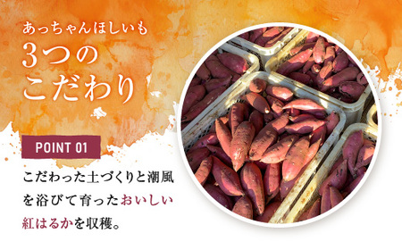 先行予約 訳あり 無添加 無着色 干しいも 2kg（箱詰め） 4月発送  冷蔵 規格外 平干し 紅はるか 干し芋 ほしいも 国産 茨城 茨城県産 紅はるか 送料無料 わけあり_CL009-4