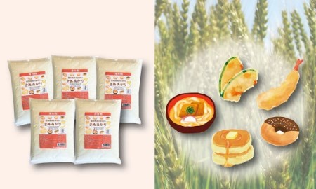 【小麦粉】愛知県産 きぬあかり 国産 薄力粉 1kg×5袋(計5kg) 定期便3回 H008-238