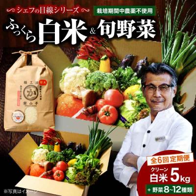 ふるさと納税 大洲市 【全6回定期便】旬のお野菜セット+クリーン白米【ふるさと納税限定】 [AGBX010]