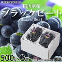 【ふるさと納税】ぶどう 2024年 先行予約 ブラックビート 約500g×2房 ブドウ 葡萄 岡山県産 国産 フルーツ 果物 ギフト　 果物 フルーツ デザート 食後 大粒 種無し 黒ぶどう 甘味 酸味 バランス 　お届け：2024年8月中旬～2024年9月上旬