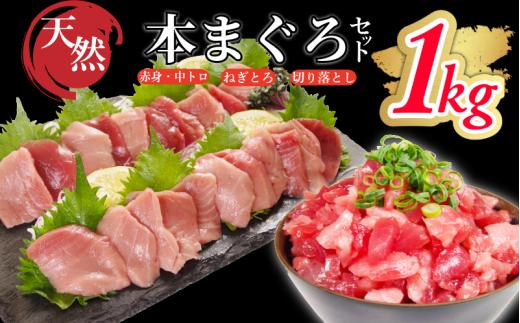 天然本まぐろ ネギトロ・切り落としセット 1kg(100g×10P） マグロ ネギトロ 本まぐろ 中とろ 赤身 天然 鮪 小分け 冷凍 刺身 漬け 晩酌 寿司 ユッケ マグロ丼 ねぎとろ 海鮮