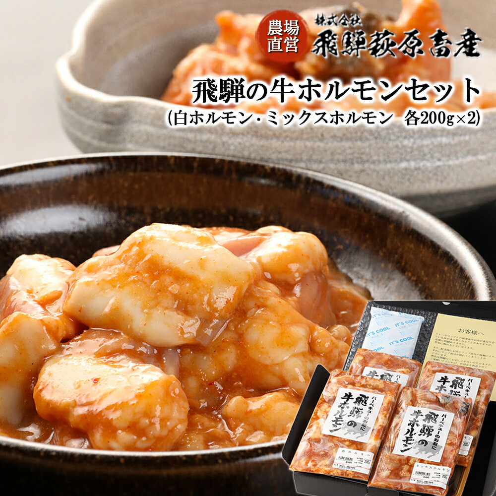 【ふるさと納税】2種類を食べ比べ！飛騨の牛ホルモンセット 計800g（白ホルモン 200g×2・ミックスホルモン 200g×2）【冷凍】 国産 牛肉 ブランド牛 和牛 BBQ バーベキュー 下呂温泉 飛騨 ギフト 贈り物 贈答 父の日 母の日 お中元 お祝い 牛ホルモン 15000円