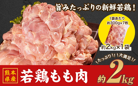 もも肉若鶏 もも肉 約2kg｜もも肉もも肉もも肉