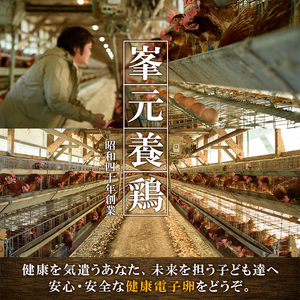 【令和7年お歳暮対応】健康電子卵 赤卵 Lサイズ 80個（10個×8パック）（うち、割れ保証分10個）国産 鹿児島県産 鶏卵 1パック10個入りで使い勝手がいい！【SA-303H】