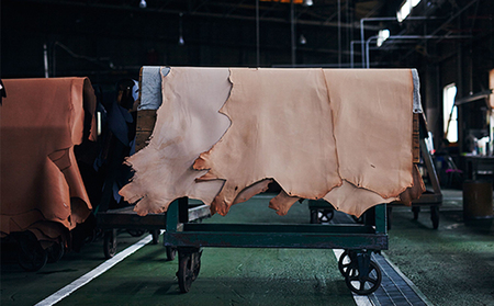 good collar 7号［犬 猫 首輪］ 雑貨 日用品 ファッション ペット用品  ヤナギ