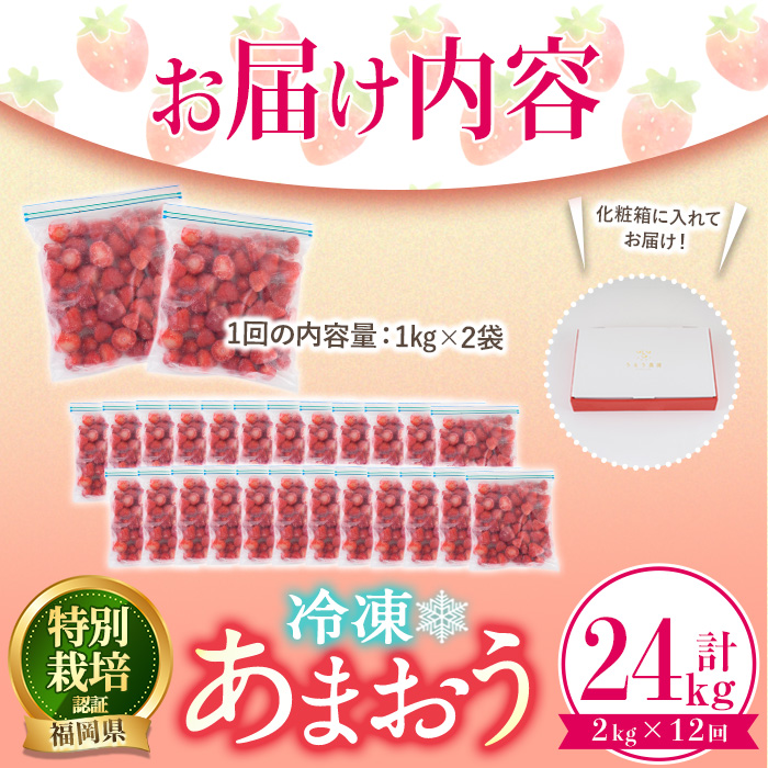＜全12回定期便(毎月)＞冷凍あまおう（計24kg:2kg×12回) いちご イチゴ 苺 あまおう 冷凍いちご 冷凍イチゴ 国産 福岡県 特別栽培 果物 フルーツ アイス ジャム 冷凍フルーツ ＜離島