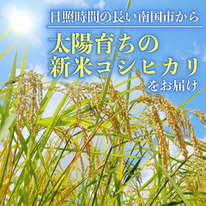 新米玄米コシヒカリ10㎏新米新米新米