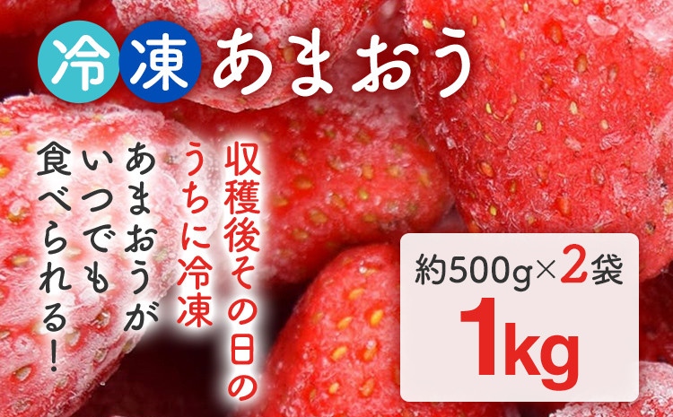 
                  福岡県産【博多冷凍あまおう】 約1kg 産地直送 産直 朝採れ 朝採り 新鮮 瞬間冷凍 いちご イチゴ 苺 お取り寄せグルメ お取り寄せ 福岡 お土産 九州 福岡土産 取り寄せ グルメ 福岡県 ※北海道・沖縄・離島は配送不可
                