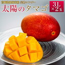 【ふるさと納税】【先行予約】宮崎県延岡市産　完熟マンゴー「太陽のタマゴ」　3L×2個（2025年5月上旬頃から発送開始）