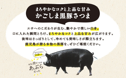 【大容量】黒豚 100% ハンバーグ 計24個 (3個入×8P) 豚肉 国産 個包装 惣菜 お弁当 ストック 人気 AKR Food Company (a1003)