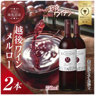 ふるさと納税 南魚沼市 越後ワイン メルロー 赤 750ml 2本セット 越後ワイナリーの辛口 ミディアムボディ 南魚沼市