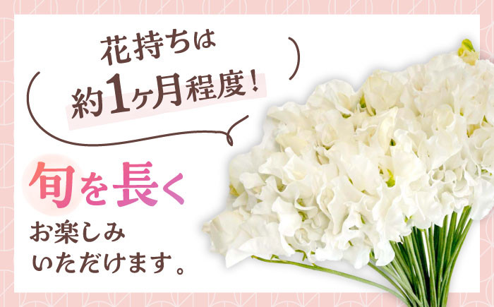 大切なあの人へのギフトにもおすすめ！