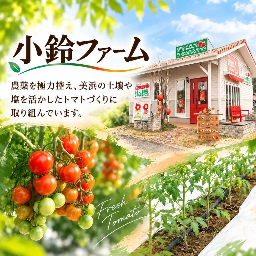 農家直送 旬のトマト おまかせ3種  約3kg 