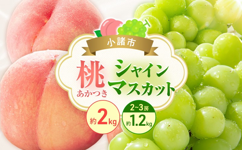 
                  フルーツ定期便　浅間水蜜桃プレミアム もも あかつき 秀品 約2kg 5～9玉とシャインマスカット２～３房1.2kg[№5915-1872]
                