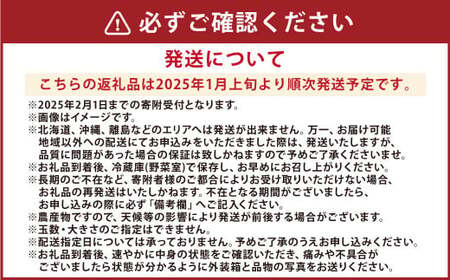 熊本県産 いちご （ゆうべに）4パック 約1120g 苺 ゆうべに【2025年1月上旬発送開始】