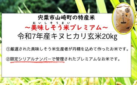 I11　キヌヒカリ 玄米　20Kg   数量限定 令和7年産 新米　美味しそう米　プレミアム【 お米 コメ きぬひかり 兵庫県 宍粟市 】
