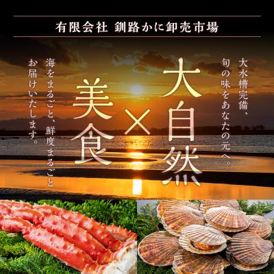 ふるさと納税 釧路市 【タラバと毛ガニ、合計2.8kg!】ボイルタラバカニ脚&ボイル毛ガニ |  | 01