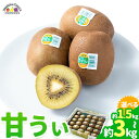 【ふるさと納税】キウイ 甘うぃ 約1.5kg 約3kg 南国フルーツ株式会社《10月下旬-12月上旬頃出荷》福岡県 小竹町 あまおう 福岡県産 キウイ フルーツ キウイフルーツ 果物