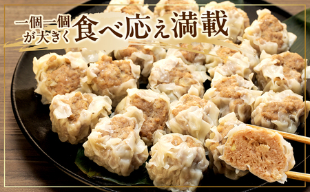 ジャンボ シュウマイ 20個 (5個×4P) 冷凍 焼売 豚 肉 豚肉 シュウマイ おつまみ ぶた おかず ごはん お酒 にく ご飯 お供 シュウマイ