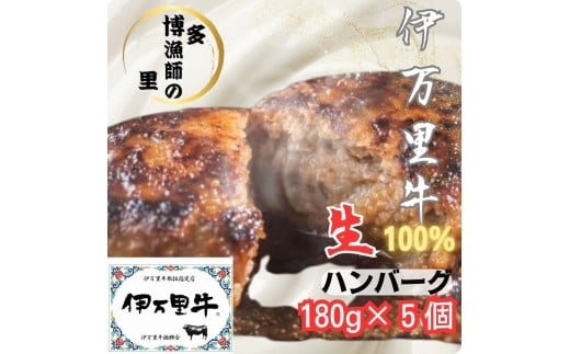 【伊万里牛使用】ジューシー冷凍生ハンバーグ180g×5個 183-J1417
