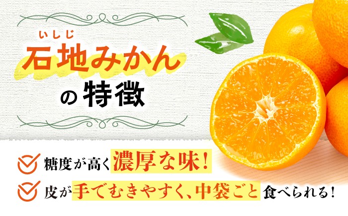 みかん 石地みかん 